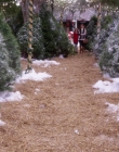 A_Christmas_Melody_mp42301.jpg
