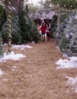A_Christmas_Melody_mp42303.jpg