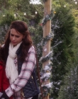 A_Christmas_Melody_mp42310.jpg