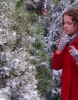 A_Christmas_Melody_mp42338.jpg