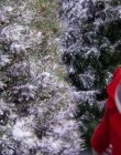 A_Christmas_Melody_mp42340.jpg