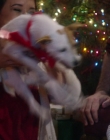 A_Christmas_Melody_mp44941.jpg